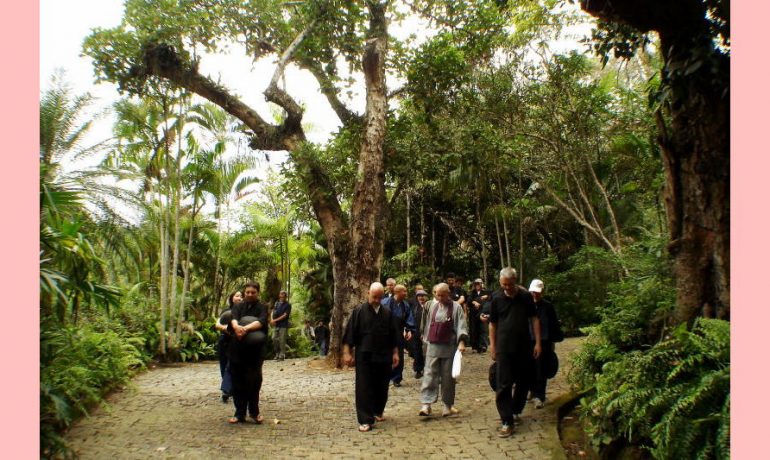 Caminhos na floresta