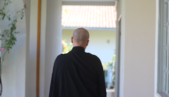 O mestre sem lar  | Monge Genshô