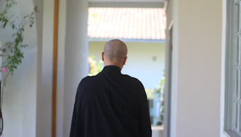 Durante o zazen | Monge Genshô