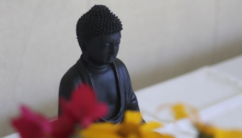O maior Obstáculo para o Dharma | Monge Genshô